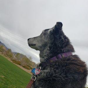 Meet your Posher, Jamie